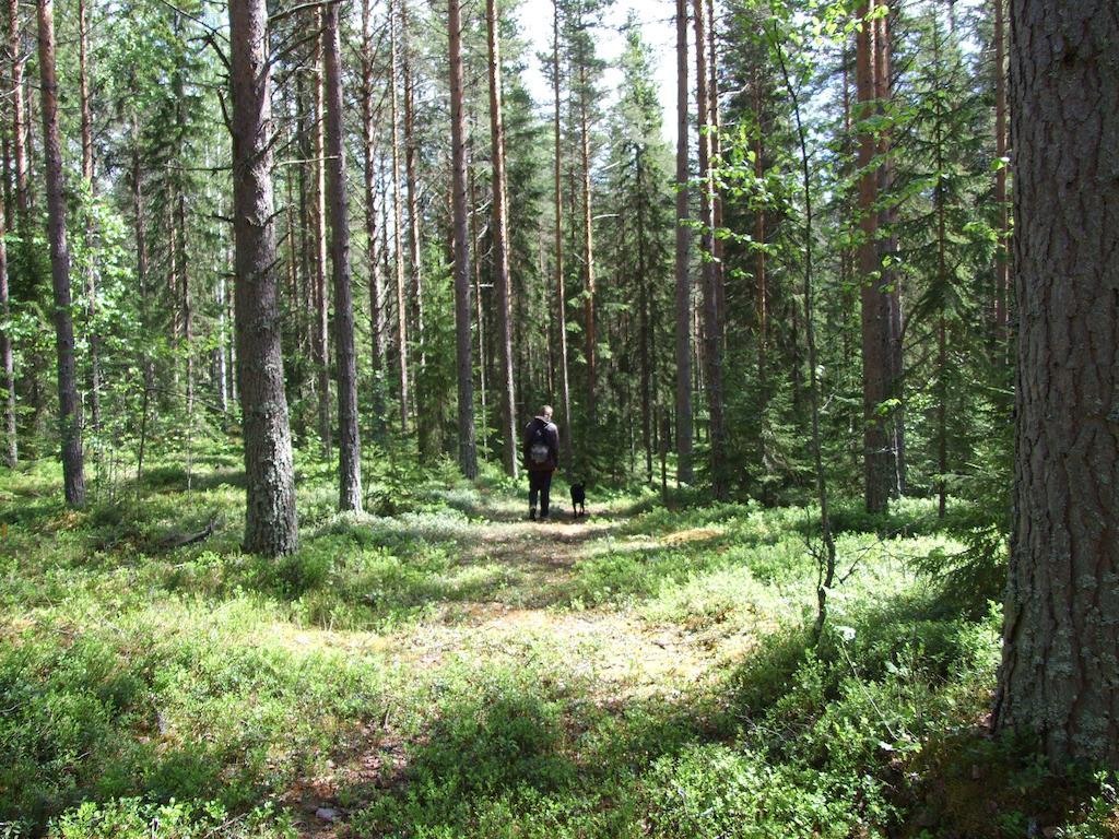 Hovra VandrarhemHåvra エクステリア 写真