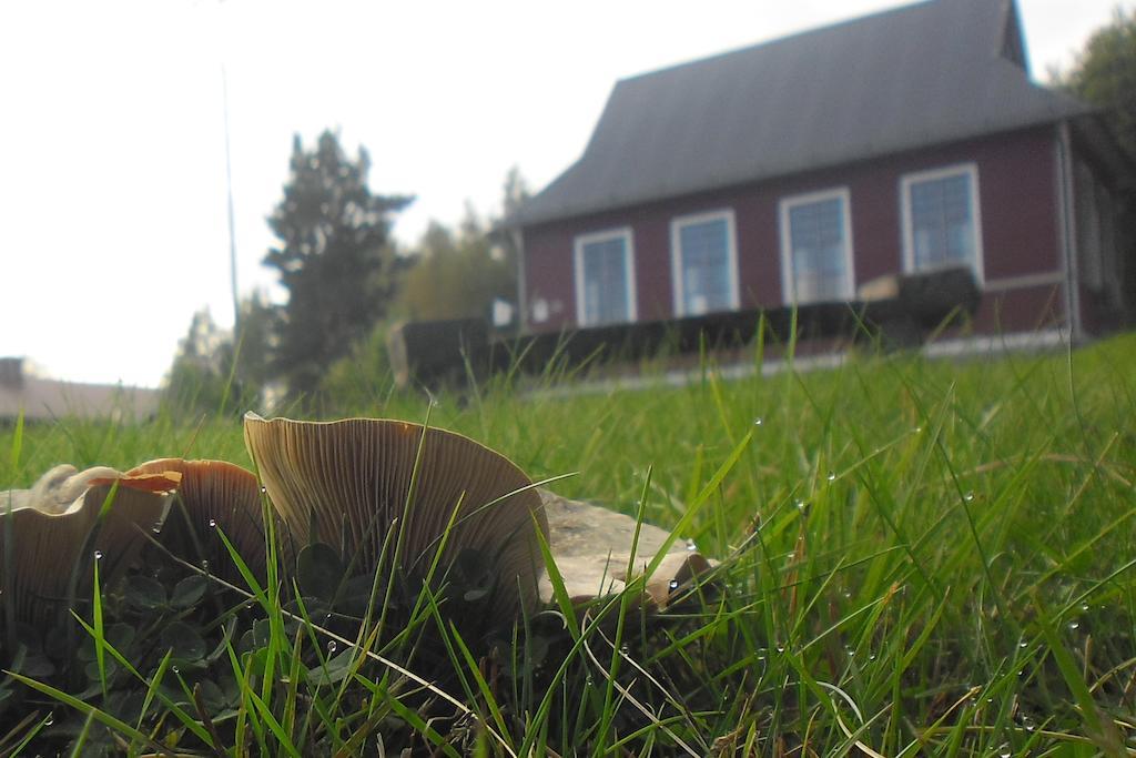 Hovra VandrarhemHåvra エクステリア 写真